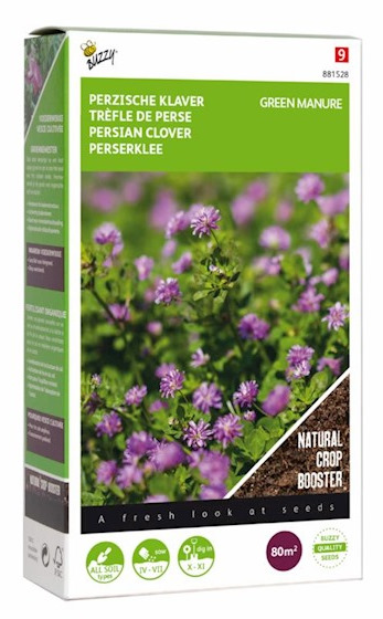 Klaver Perzische ( Trifolium resupinatum) 80m2